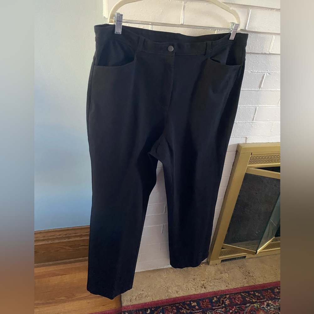 Sz 2x Eileen Fisher Pants